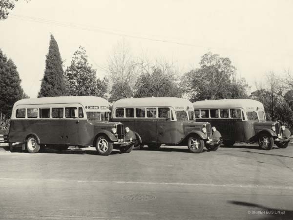 Vintage photo of 3x Driver Federal busses lined up in a row, circa 1937 at Camberwell Town Hall gardens