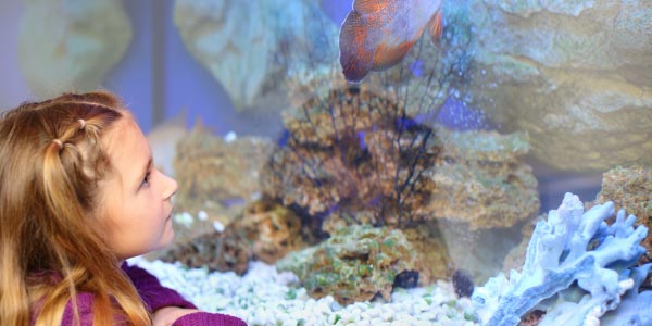 Girl on school excursion to aquarium looking at tropical fish